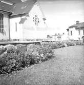 Plantering vid Staffans kyrka. Reportage för Arbetarbladet. Juli 1939





