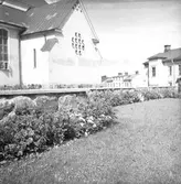 Plantering vid Staffans kyrka. Reportage för Arbetarbladet. Juli 1939





