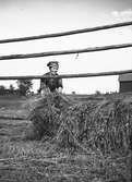 Bilden visar hemmansägaren fröken Karin Jonsson som hässjar hö på gården Jon Jons i Trödje den 13 juli 1939. Hon ägde gården tillsammans med sin syster Stina. Reportage för Norrlandsposten.