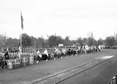 Svenska Flaggans Dag. 6 Juni 1941


