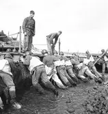 Krigsbrobygge vid Svea Ing:1 kåren. Älvkarleby. Augusti 1944