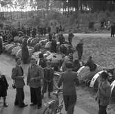 KFUM:s Pojkracertävling. September 1944.

