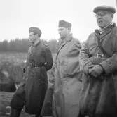 Hemvärnet. Oktober 1944

