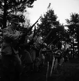 Hemvärnet. Oktober 1944

