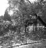 Reportage för Gefle Dagblad. Blåsväder. År 1936

