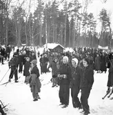 Fettisdagstävling. Skidor. År 1936