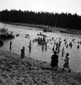 Reportage för Gefle Posten. Barnutflykt till Furuvik. September 1937