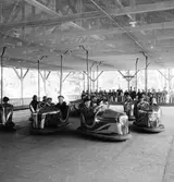 Reportage för Gefle Posten. Barnutflykt till Furuvik. September 1937





