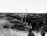 Bilder från ett krig ev. första världskriget någonstans öst-syd
























