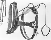 Elof Malmbergs. Den 25 oktober 1943.