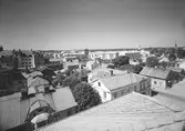 Den 9 juli 1955. Vy över Söder. Södermalmstorg med Filadelfia ner till vänster i bild.

