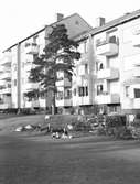 År 1956. Ute på gården





