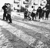 Barn på is, Brynäs. Den 23 januari 1957.






