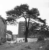 Bostadshusen vid Kristinaplan

