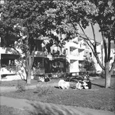 Bostadshusets grönområde

