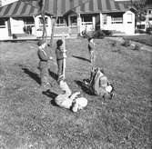 År 1957. Barn på gräsmattan





