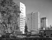 År 1956. Höghus på Söder





