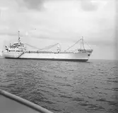 Den 24 juni 1963. Gävle Varv. M/S Nova.





