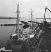 Den 27 november 1959. Gävle Varv. Båt från Ryssland.


