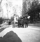 Den 15 maj 1950. Furuviksbarnen





