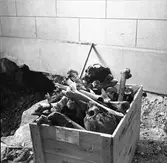 Den 13 november 1957. Heliga Trefaldighet.





