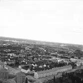 Flygbild över Brynäs omkring 1950.