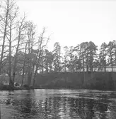 Valboåsen. Gavleån.
