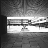 Den 19 augusti 1964. Centralskolan / Sofiedalsskolan. Södra Valbo.