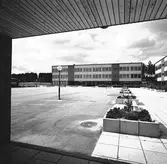 Den 19 augusti 1964. Centralskolan / Sofiedalsskolan. Södra Valbo.