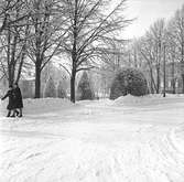 Rådhuspark. Vinterbild.