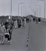 Stora folkmassor strömmade till när den färdigbyggda men inte invigda Ölandsbron visades för allmänheten.