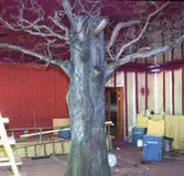 Dekorationer på Restaurang Baltic. Den 19 september 1974
A R F Dekor, Östgötagatan 69, 116 38 Stockholm.

