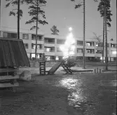 Julgran någonstans på Sätra, Gavlegårdarna AB. Den 12 januari 1973

