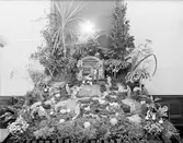 Fru Matton
Foto av krubban i S:t Ansgarshuset

December 1938