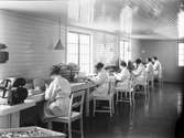 Elfströms Tekniska Fabrik AB

även känd som ljusfabriken Svea, grundades 19612 och ombildades till aktiebolag 1927.
Tillverkade stearinljus, lutpulver, såplut, tvättmedel, hud och tandkrämer. Reporia svaveltjärtvål m.m
Arbete med Mimosa cremé



