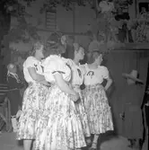 Furuviksparken invigdes 1936

1950 var ett år då Furuviksparken investerade kraftigt.

Cirkus
Mexikanskt tema














