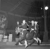 Furuviksparken invigdes 1936

1950 var ett år då Furuviksparken investerade kraftigt.

Cirkus
Tre män ska hoppa upp på hästryggen

















