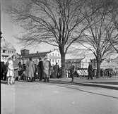 Gävle
Cirkusen har kommit till stan!

På Fisktorget/Hamntorget finns Cirkustältet med Furuviks Ungdomscirkus.