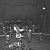 Gävle

På Fisktorget/Hamntorget finns Cirkustältet med Furuviks Ungdomscirkus.













