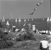 Furuskär

Furuviksparken invigdes pingstdagen 1936.

Segelbåtstävling












