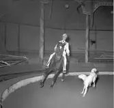 Furuviksparken invigdes pingstdagen 1936.

Cirkusbyggnaden Teater-Cirkus med cirka 600 platser, uppförd 1940.










