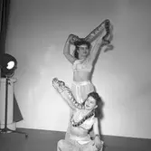 Furuviksparken invigdes pingstdagen 1936.

Folkdanslaget Furuviks Ungdomslag och Barnkabarén blev Furuviksbarnen.

Ormtjusare







