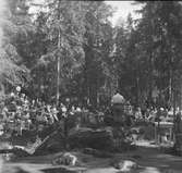 Furuviksparken invigdes pingstdagen 1936.









