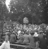 Furuviksparken invigdes pingstdagen 1936.

Folkdanslaget Furuviks Ungdomslag och Barnkabarén blev Furuviksbarnen







