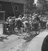 Furuviksparken invigdes pingstdagen 1936.

Folkdanslaget Furuviks Ungdomslag och Barnkabarén blev Furuviksbarnen







