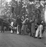 Furuviksparken invigdes pingstdagen 1936.

Folkdanslaget Furuviks Ungdomslag och Barnkabarén blev Furuviksbarnen

Samling på scen med bla en get och häst





