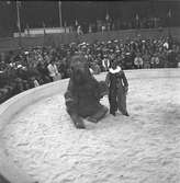 Furuviksparken invigdes pingstdagen 1936.

Folkdanslaget Furuviks Ungdomslag och Barnkabarén blev Furuviksbarnen

Clownen och hans elefant





