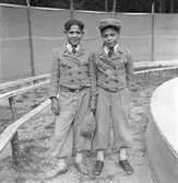 Furuviksparken invigdes pingstdagen 1936.

Folkdanslaget Furuviks Ungdomslag och Barnkabarén blev Furuviksbarnen

Cirkusartister





