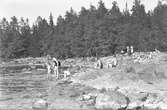 Furuviksparken invigdes pingstdagen 1936.

Nöjesfältet, badplatsen Sandvik och djurparken gjordes i ordning.

Badplatset Sandvik

