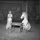 Furuviksparken invigdes pingstdagen 1936.
Furuviks Ungdomscirkus 